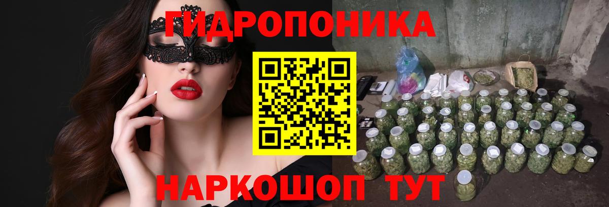 Канабис семена  Шишки марихуана THC 21%  Омск  Вход с VPN 